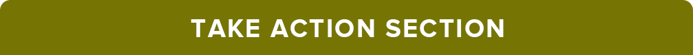 coaching business coaching business
