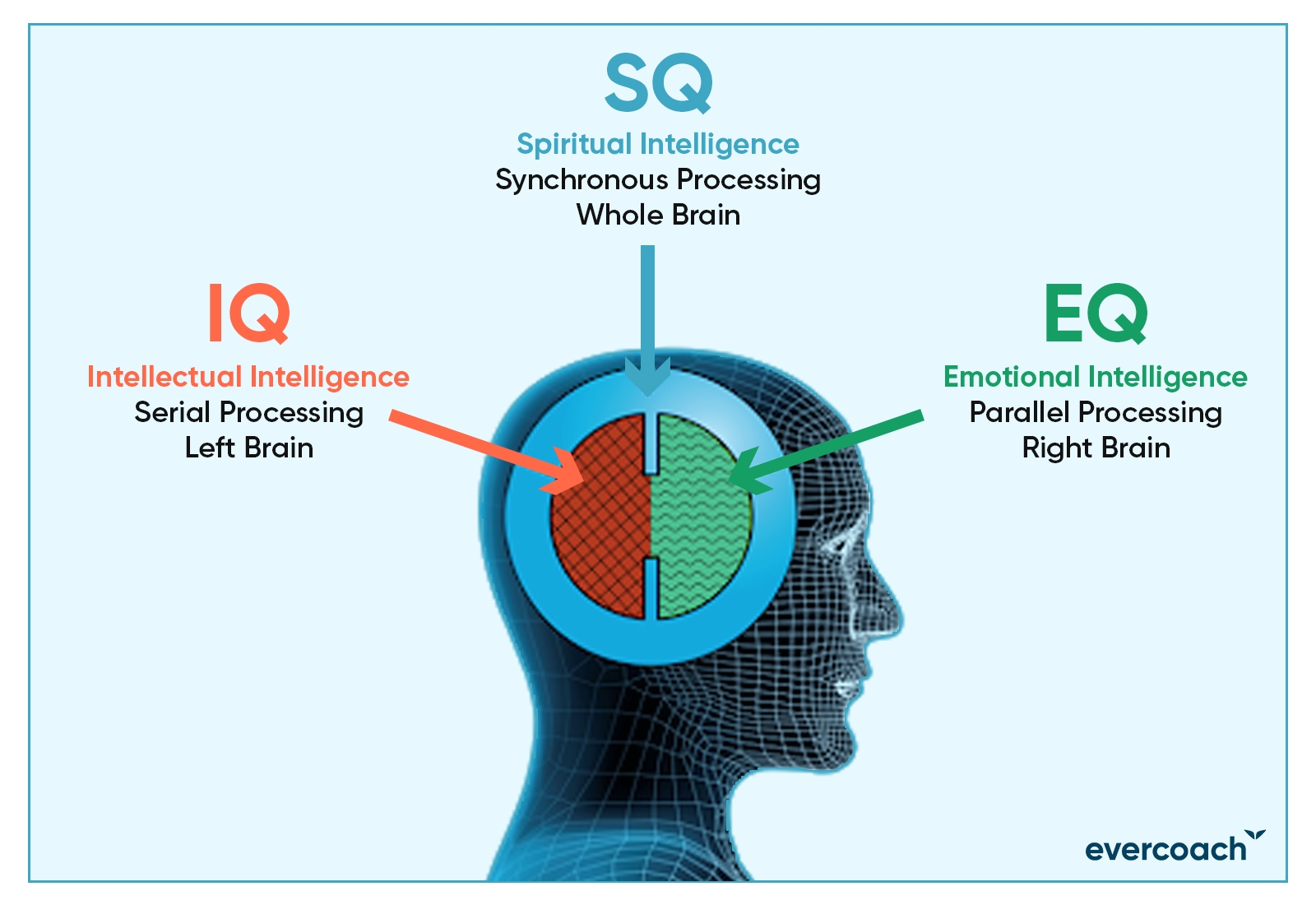 Spiritual-Intelligence_Blog_Graphic