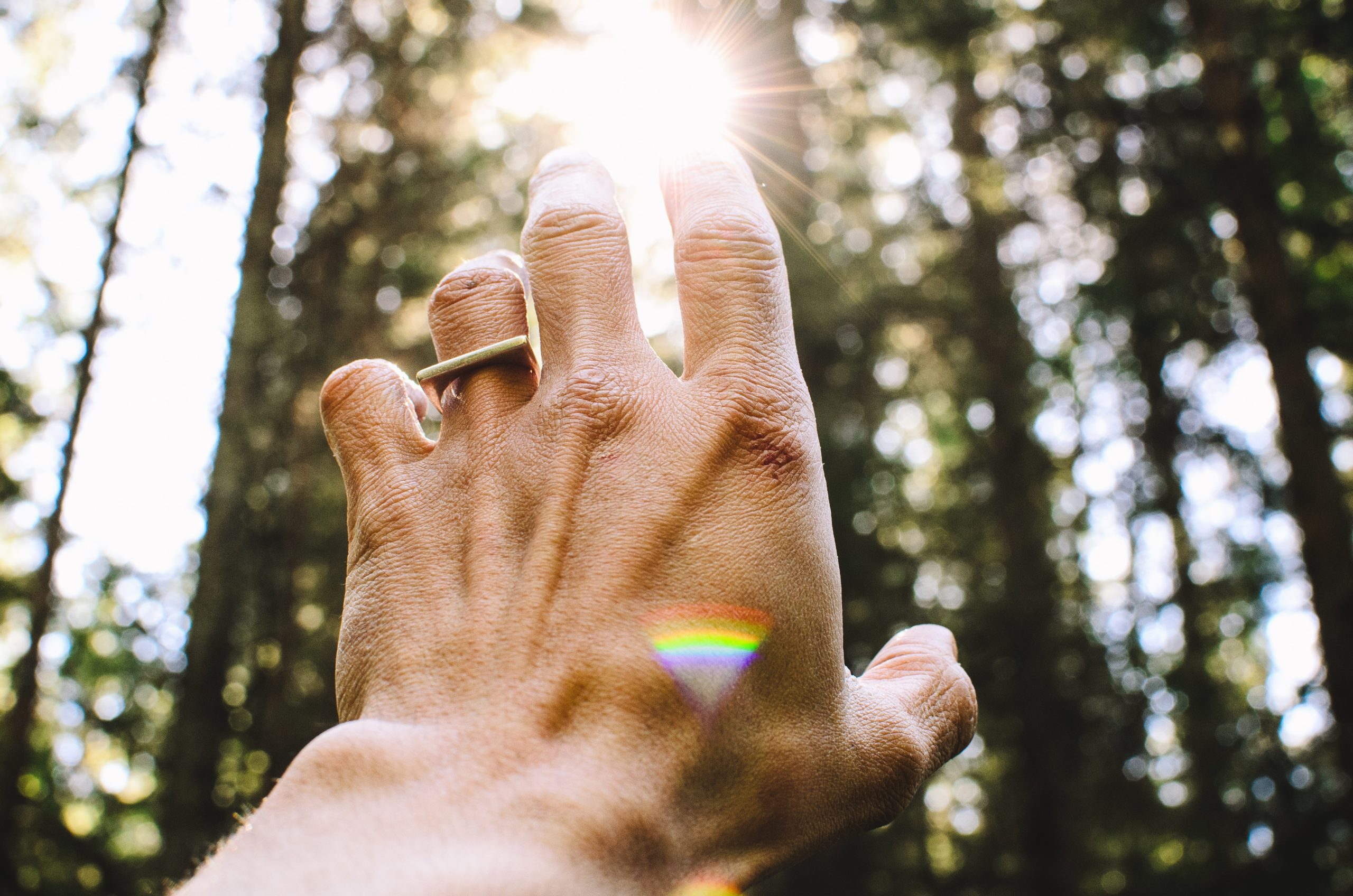 aaron-blanco-tejedor-QUGWB1kqjQI-unsplash Spiritual Intelligence