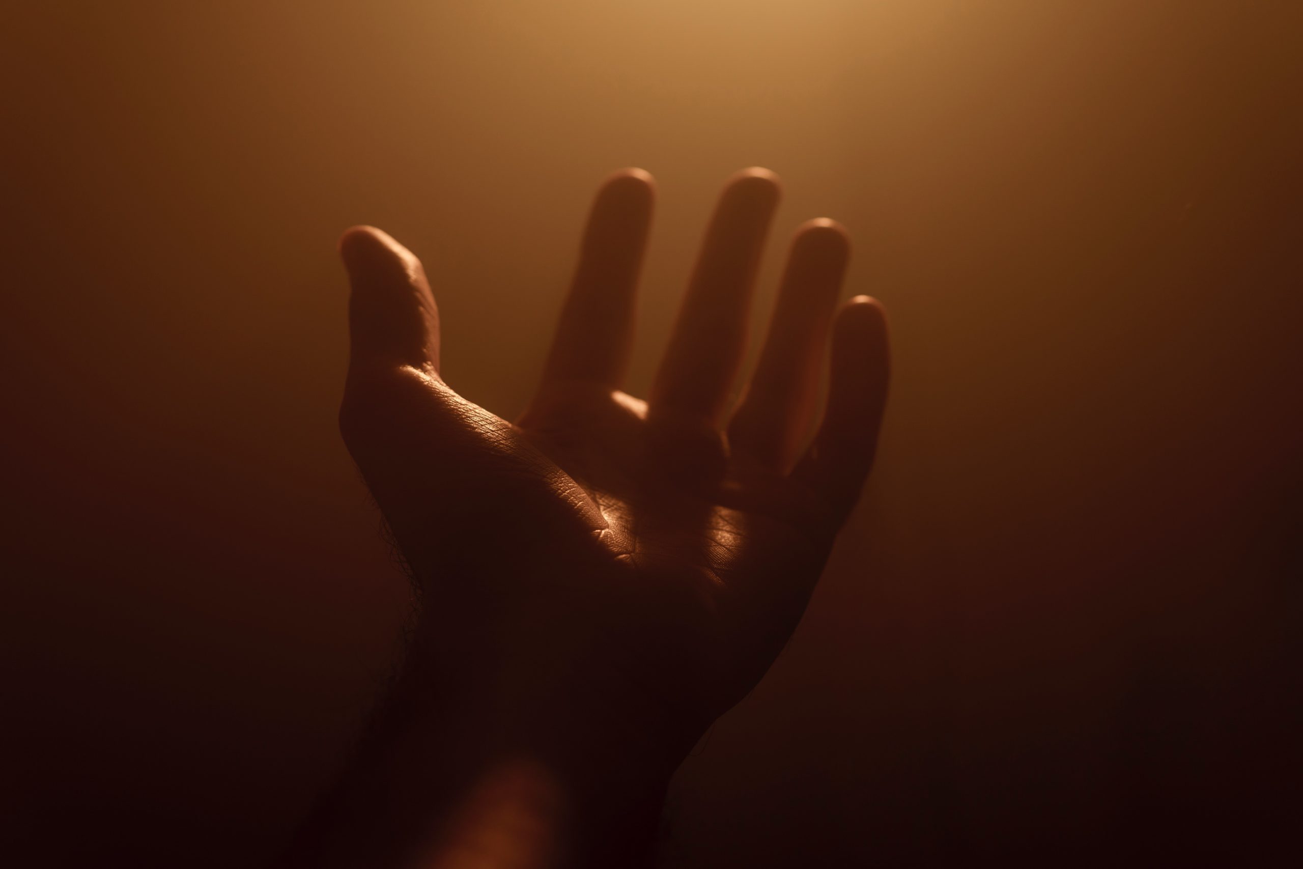 jackson-david-2ImxU2oEOGA-unsplash